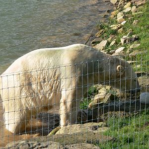 Project Polar! at Yorkshire WP, 28/10/14