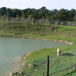 Project Polar! at Yorkshire WP, 28/10/14