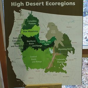 High Desert Ecoregions