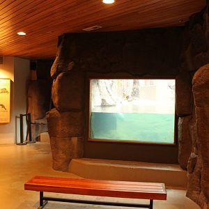 River Otter Exhibit