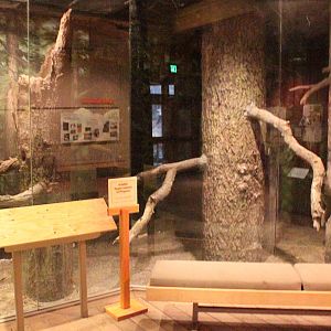 Raptor Center - Empty Exhibit