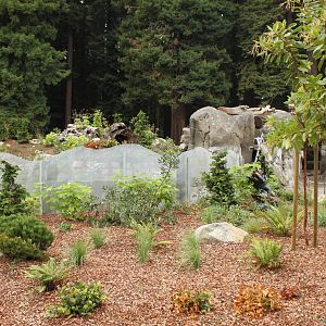 Watershed Heroes - River Otter Exhibit