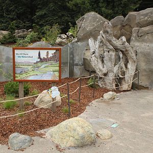 Watershed Heroes - Otter Exhibit