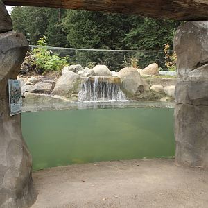 Watershed Heroes - River Otter Exhibit