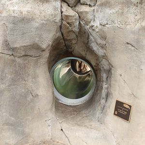 Watershed Heroes - Crawl Through Acrylic Tunnel