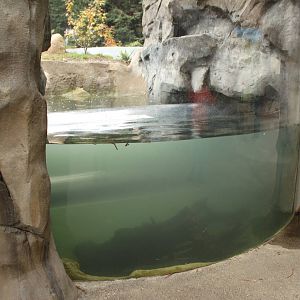 Watershed Heroes - Window to Acrylic Tunnel