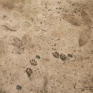 Watershed Heroes - Flooring Texture