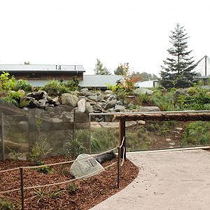 Watershed Heroes - River Otter Exhibit