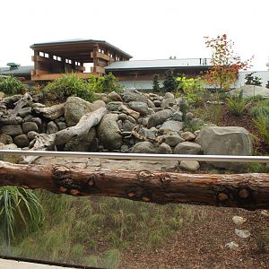 Watershed Heroes - River Otter Exhibit