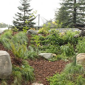 Watershed Heroes - River Otter Exhibit