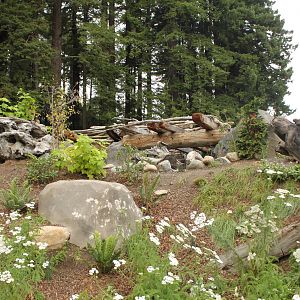 Watershed Heroes - River Otter Exhibit