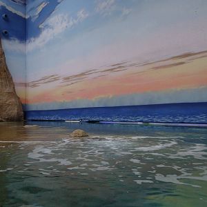 Afrykarium - Red Sea tank