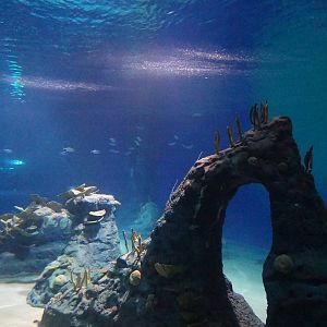 Mozambique Channel pool