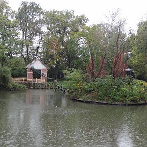 Squirrel Monkey island and house