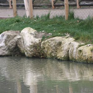 Is this the cause of the milky water, 27th October 2014