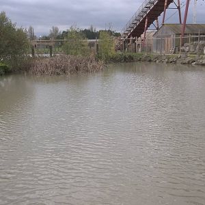 Stork lake showing milky water, 27th October 2014