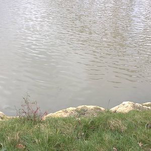 Is this the cause of the milky water, 27th October 2014