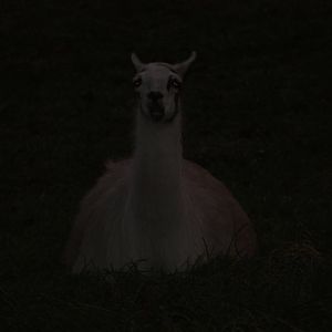 Settled down for the evening, 25th October 2014