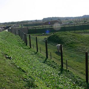 Project Polar! at Yorkshire WP, 28/10/14