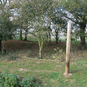 Land of the Tiger at Yorkshire WP, 28/10/14