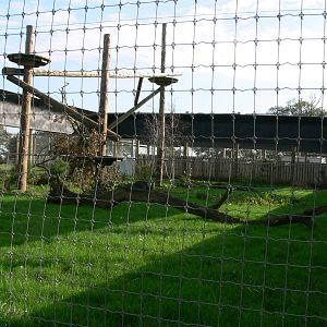 Leopard Heights at Yorkshire WP, 28/10/14