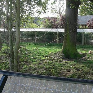 iCaramba at Yorkshire WP, 28/10/14