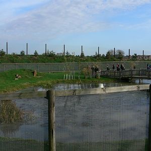 South American Viva at Yorkshire WP, 28/10/14