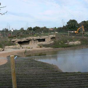 African Wild Dog Exhibit at Yorkshire WP, 28/10/14