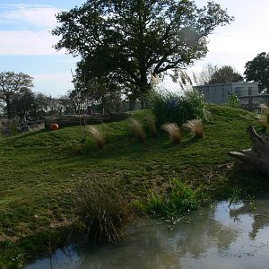 iCaramba at Yorkshire WP, 28/10/14