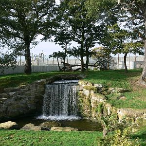 Land of the Tiger at Yorkshire WP, 28/10/14