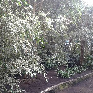 Inside Tropical Hall