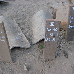 breeding centre for Burmese Star Tortoises (Geochelone platynota)