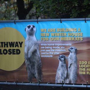 Signage for new Meerkat house