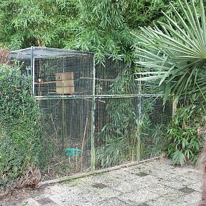Enclosures for Squirrels and hornbills