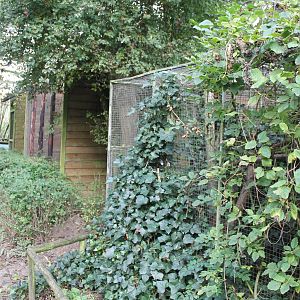 Enclosures for small monkeys and touraco