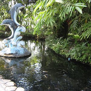 ornamental fish ponds