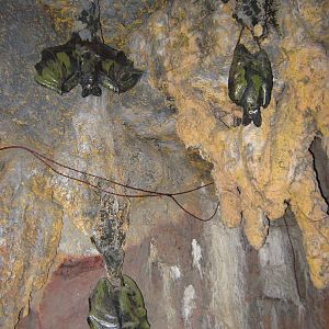 statues in faux cave