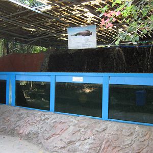 outdoors aquarium