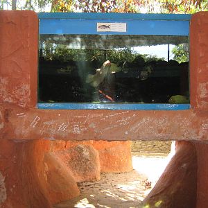outdoors aquarium