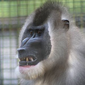 Drill @ Edinburgh; 19.10.2014