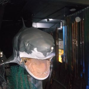 Interactive Great White Shark