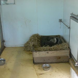 iCaramba at Yorkshire WP, 28/10/14