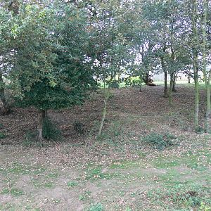 Land of the Tiger at Yorkshire WP, 28/10/14