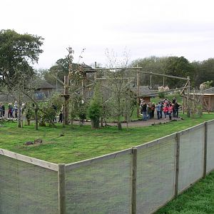 South American Viva at Yorkshire WP, 28/10/14