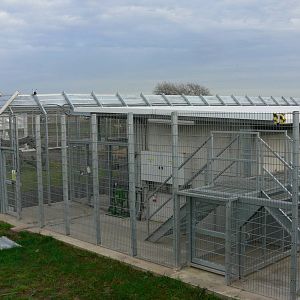 Project Polar! At Yorkshire WP, 28/10/14