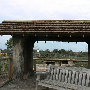 African Hunting Dog Exhibit at Yorkshire WP, 28/10/14