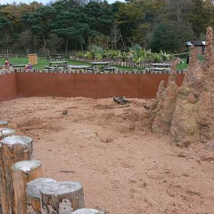 Meerkat Exhibit at Yorkshire WP, 28/10/14