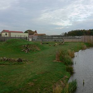 Lion Country at Yorkshire WP, 28/10/14