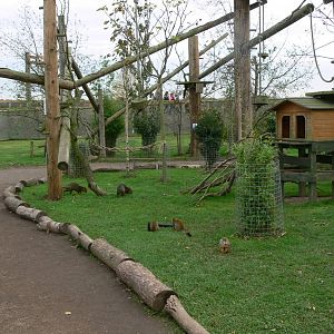 South American Viva at Yorkshire WP, 28/10/14