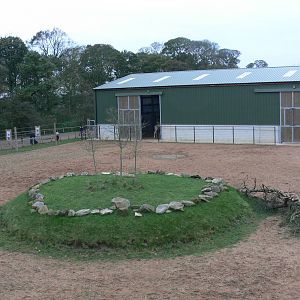 Giraffe Exhibit at Yorkshire WP, 28/10/14